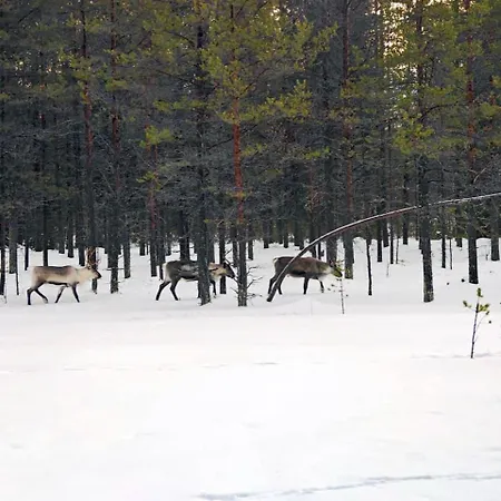 Borealis Village 4 With A Nature View, Fireplace, Sauna, Kitchen * Muonio