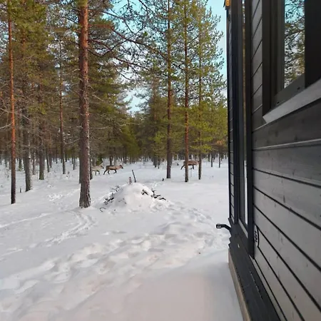 Holiday home Borealis Village 4 With A Nature View, Fireplace, Sauna, Kitchen Muonio
